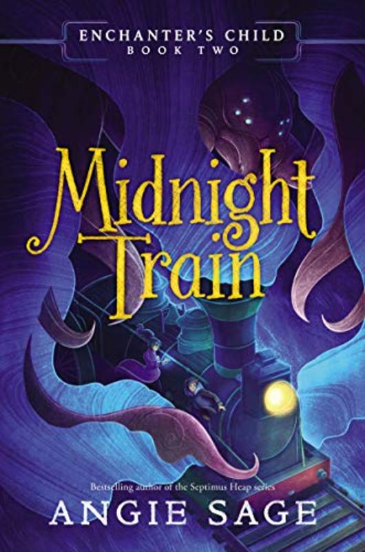 Angie Sage book cover