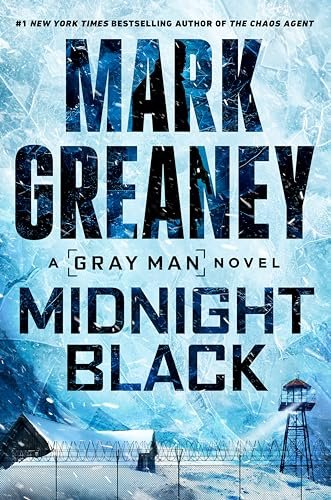 Gray Man book cover