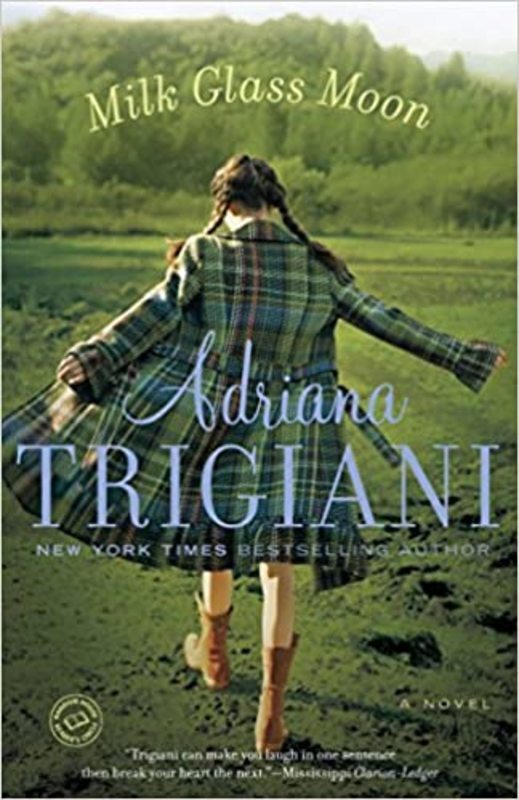 Big Stone Gap book cover