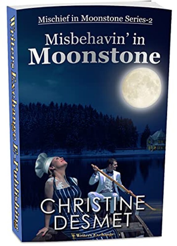 Christine DeSmet book cover