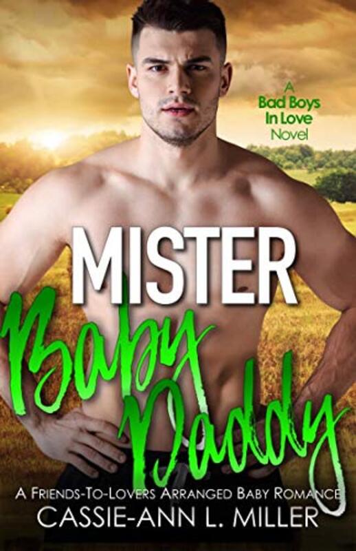 Book cover for "Mister Baby Daddy" by Cassie Ann L Miller