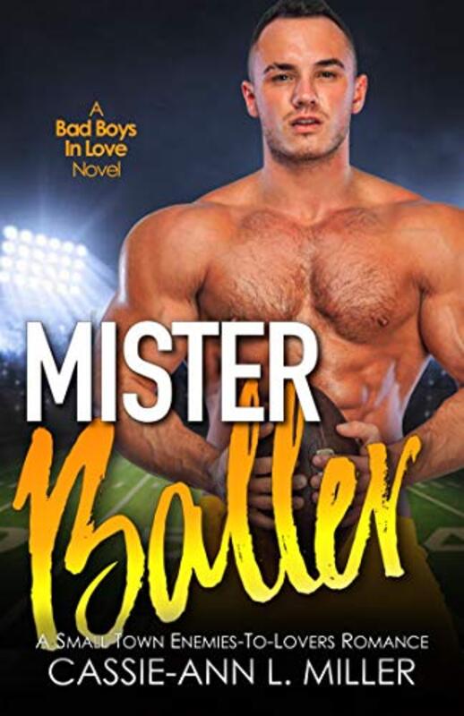 Book cover for "Mister Baller" by Cassie Ann L Miller