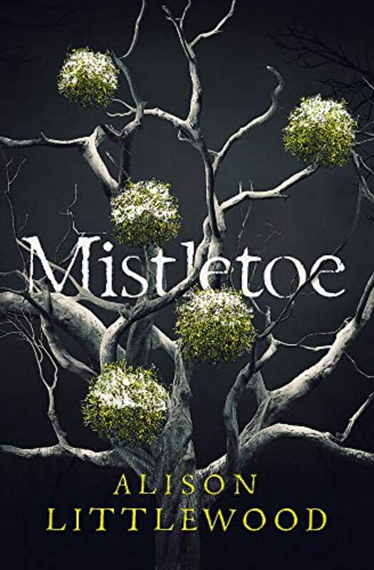 Alison Littlewood book cover