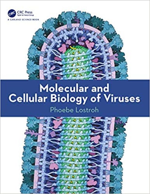 Book cover for "Molecular and Cellular Biology of Viruses" by Phoebe Lostroh