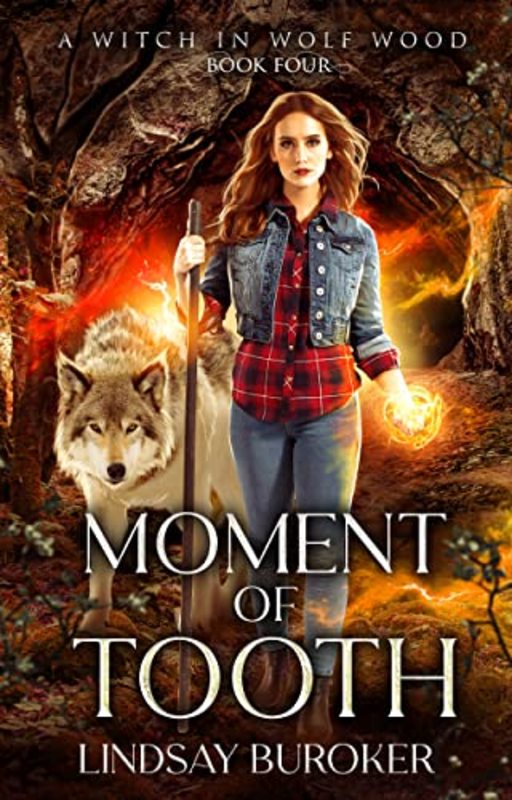 Lindsay Buroker book cover
