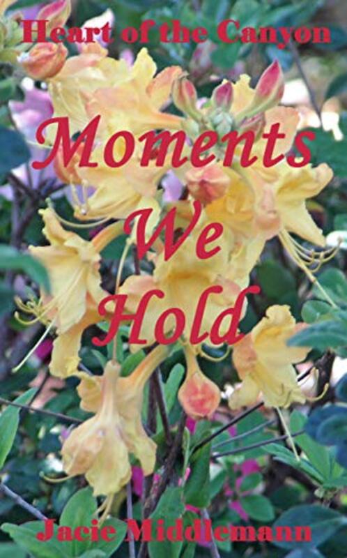 Book cover for "Moments We Hold" by Jacie Middlemann