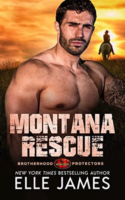 Book cover for "Montana Rescue" by Elle James