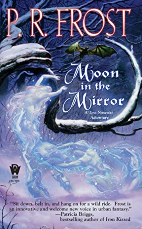 Book cover for "Moon in the Mirror" by P R Frost