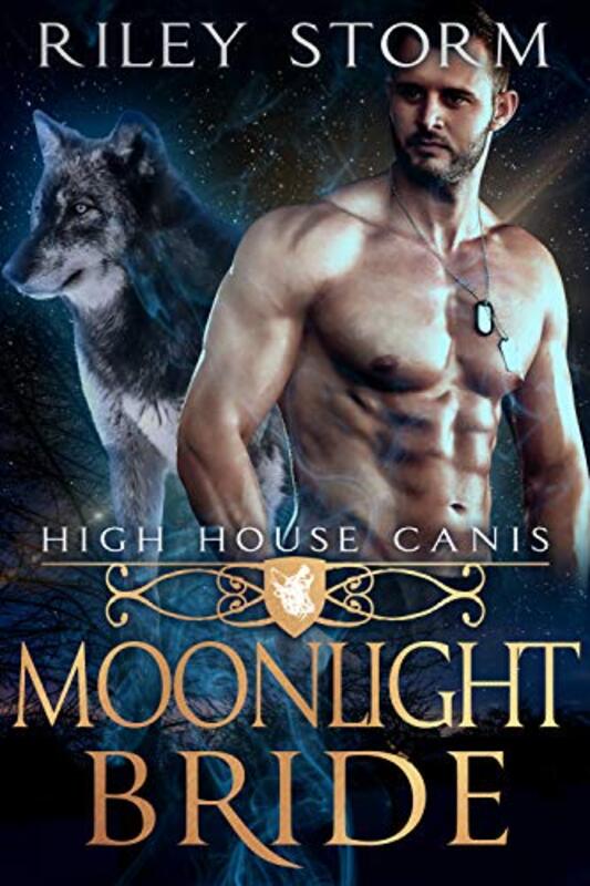 Book cover for "Moonlight Bride" by Riley Storm