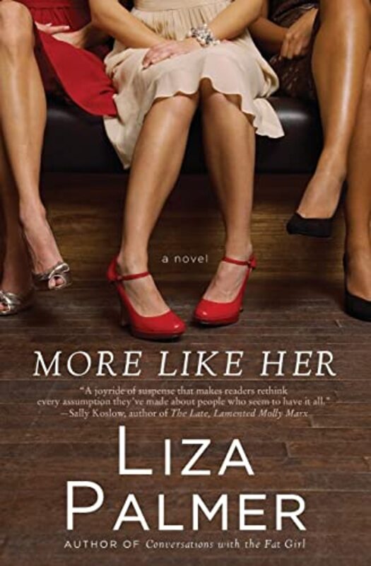 Book cover for "More Like Her" by Liza Palmer