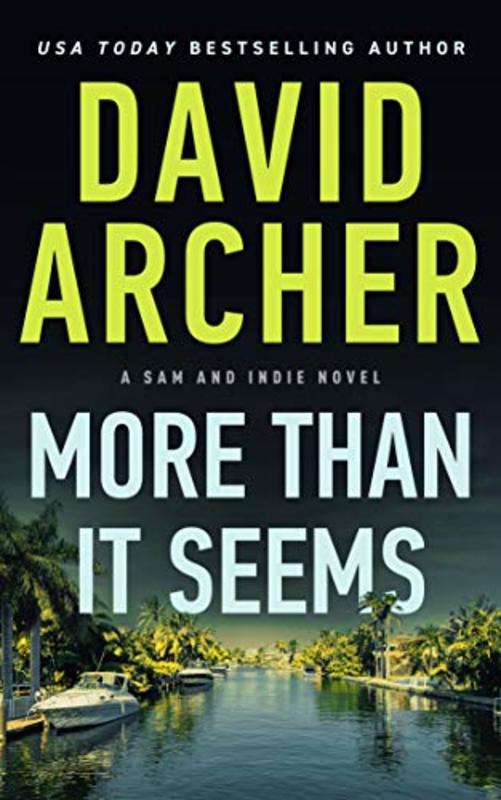 Book cover for "More Than It Seems" by David Archer