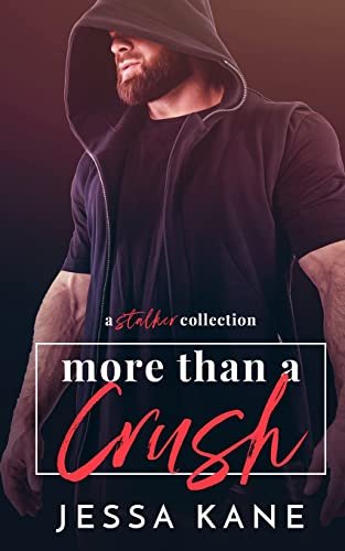 Book cover for "More than a Crush" by Jessa Kane
