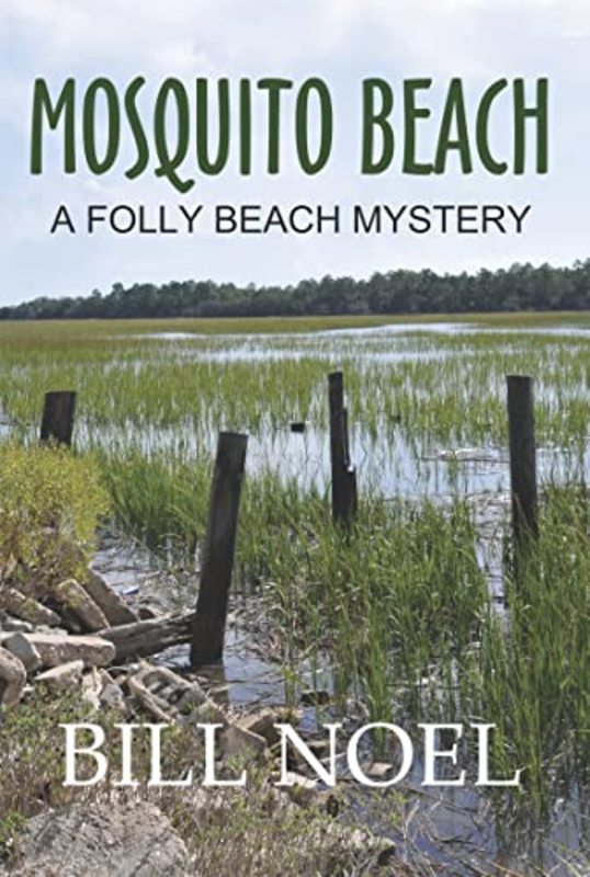Folly Beach Mystery book cover