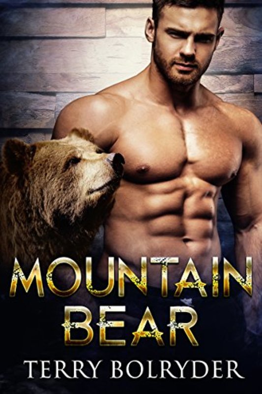 Book cover for "Mountain Bear" by Terry Bolryder