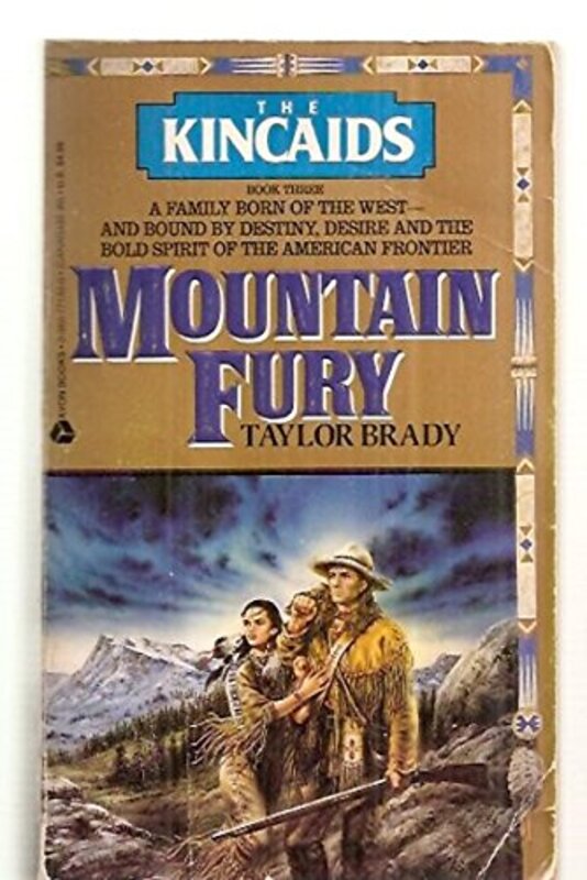 Book cover for "Mountain Fury" by Donna Ball