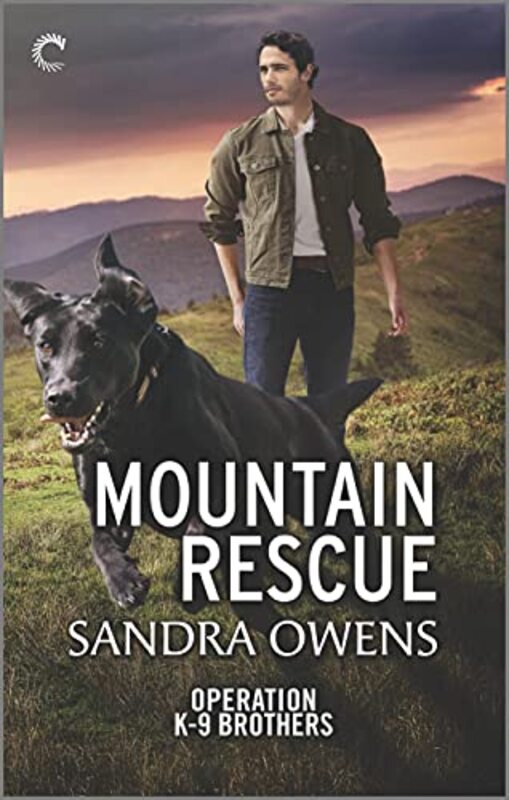 Book cover for "Mountain Rescue" by Sandra Owens