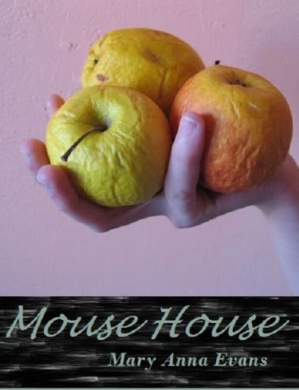 Book cover for "Mouse House" by Mary Anna Evans