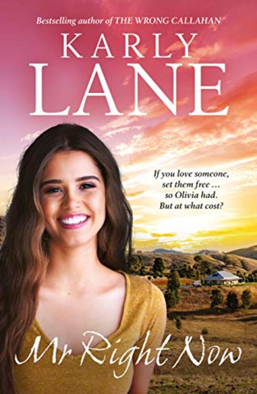 Book cover for "Mr Right Now" by Karly Lane