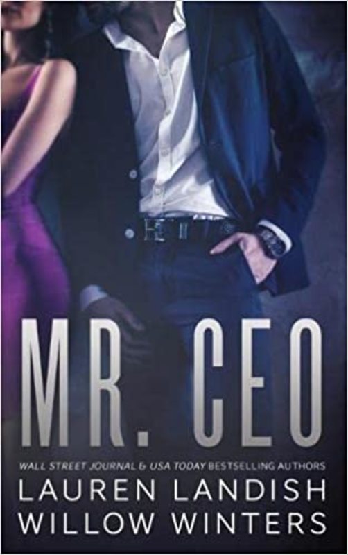 Book cover for "Mr. CEO" by Willow Winters