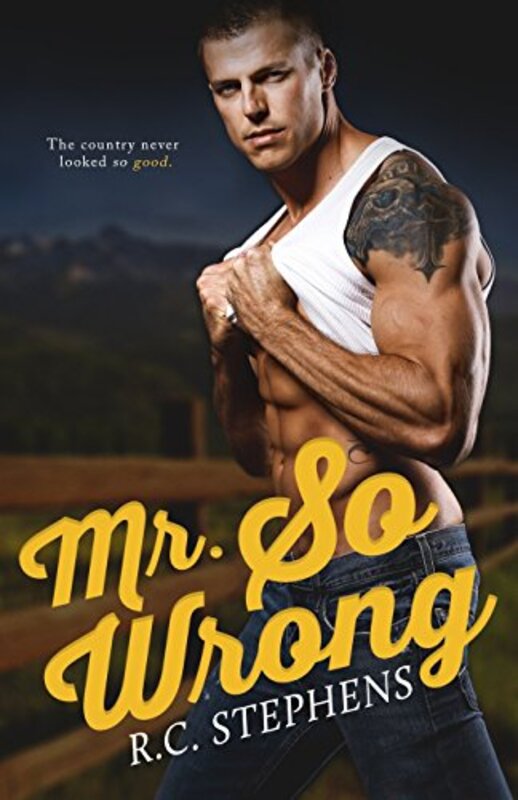 Book cover for "Mr. So Wrong" by RC Stephens