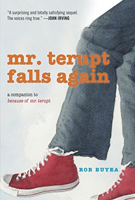 Mr Terupt book cover