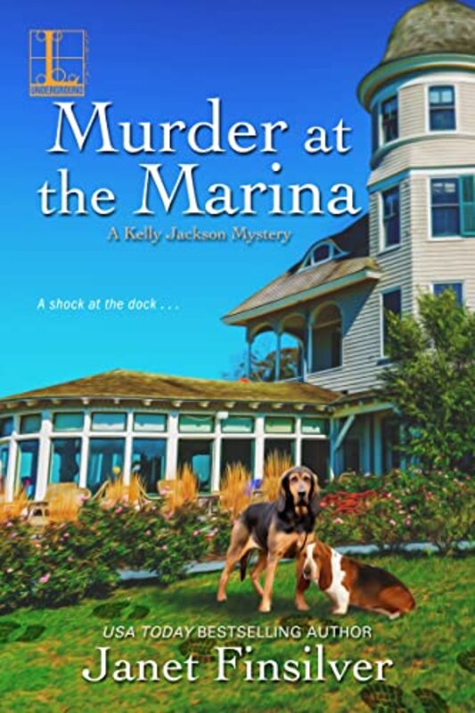 Janet Finsilver book cover