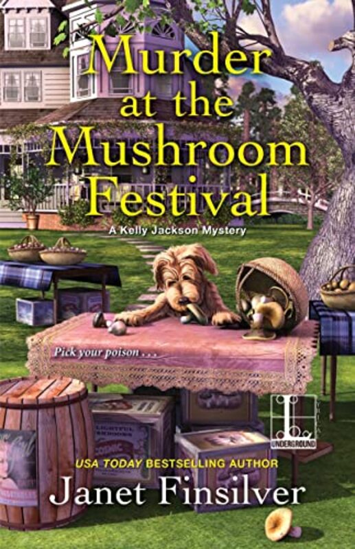 Janet Finsilver book cover