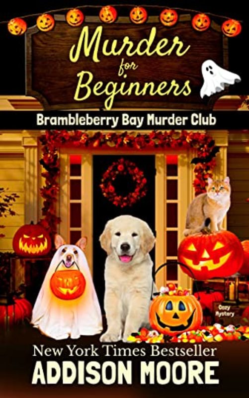 Book cover for "Murder for Beginners" by Addison Moore