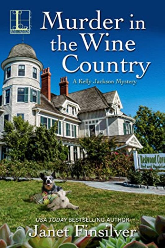Janet Finsilver book cover