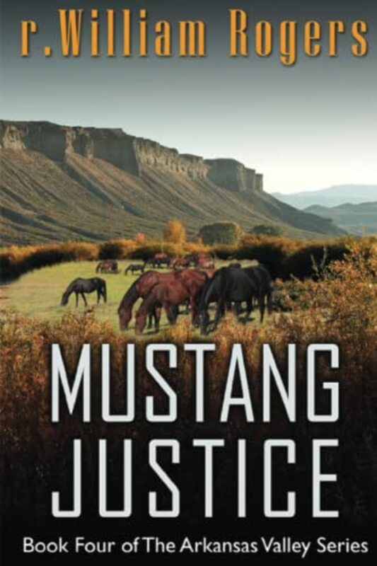 Arkansas Valley book cover