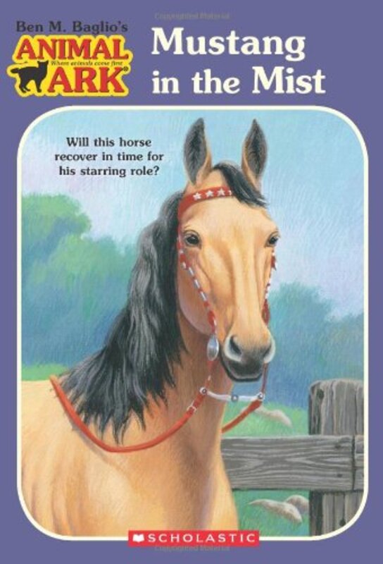 Book cover for "Mustang in the Mist" by Lucy Daniels
