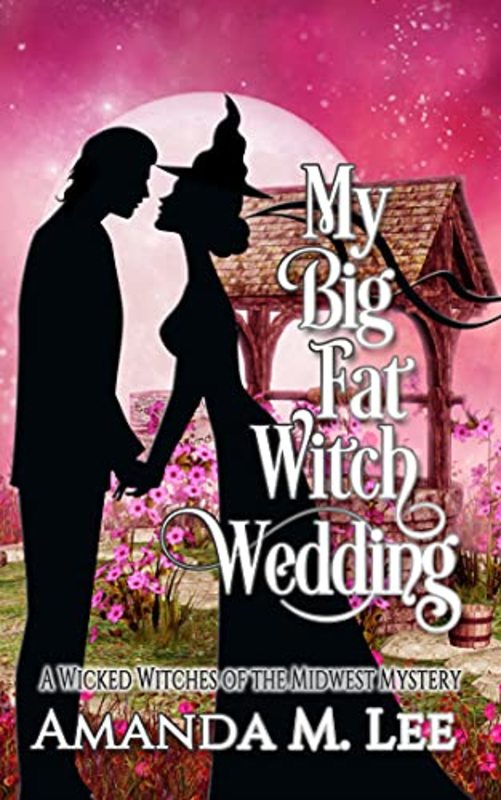 Wicked Witches of the Midwest book cover
