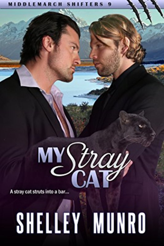Book cover for "My Stray Cat" by Shelley Munro
