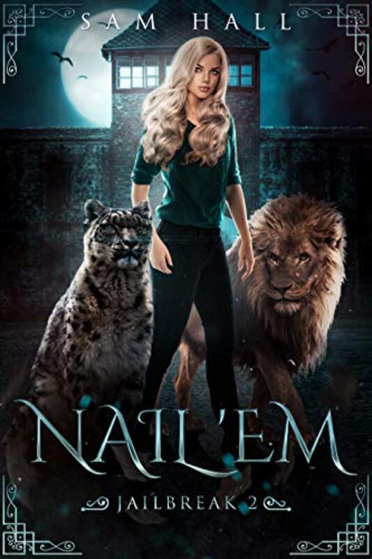 Book cover for "Nail 'Em" by Sam Hall