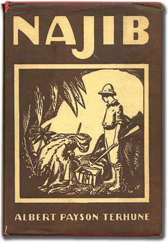 Book cover for "Najib" by Albert Payson Terhune
