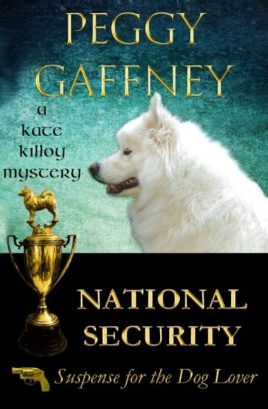 Book cover for "National Security" by Peggy Gaffney