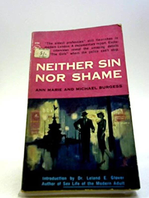 Book cover for "Neither Sin Nor Shame" by Noel Gerson