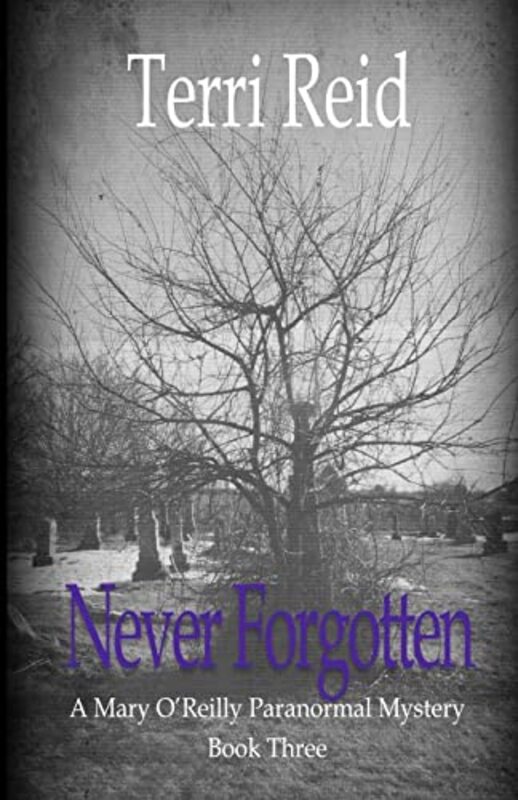 Book cover for "Never Forgotten" by Terri Reid