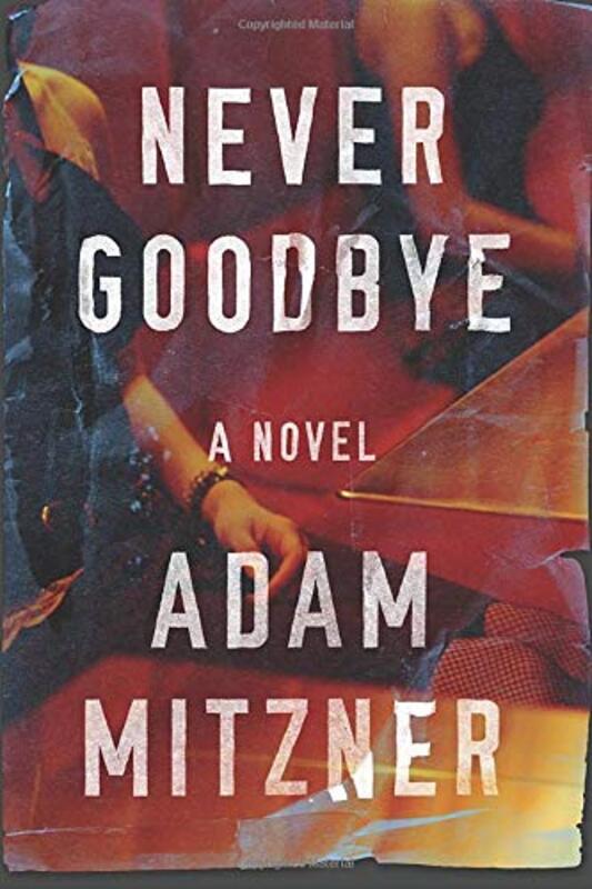 Book cover for "Never Goodbye" by Adam Mitzner