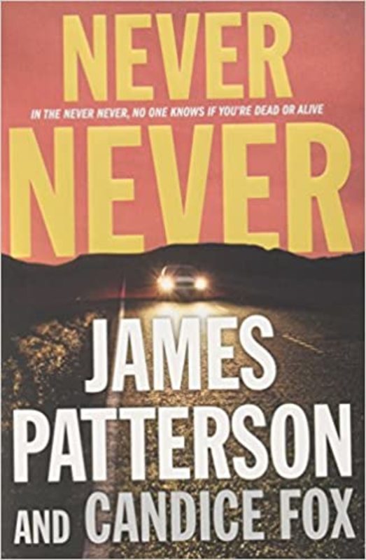 Book cover for "Never Never" by Candice Fox