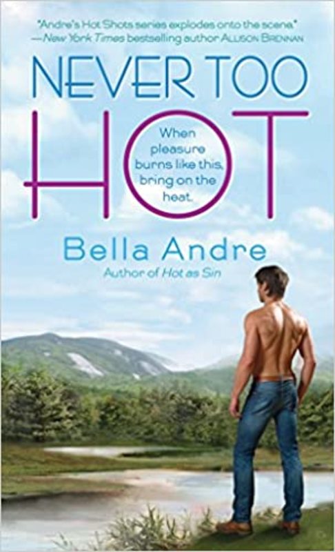 Hot Shots Men of Fire book cover