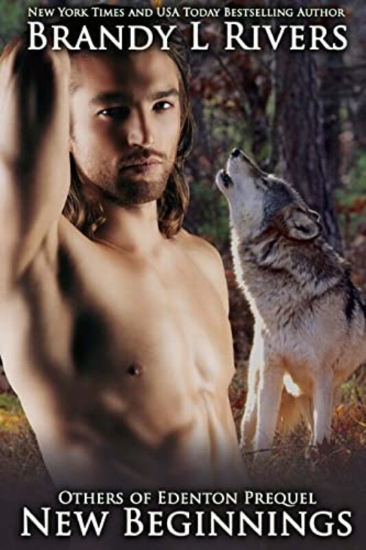 Book cover for "New Beginnings" by Brandy L Rivers