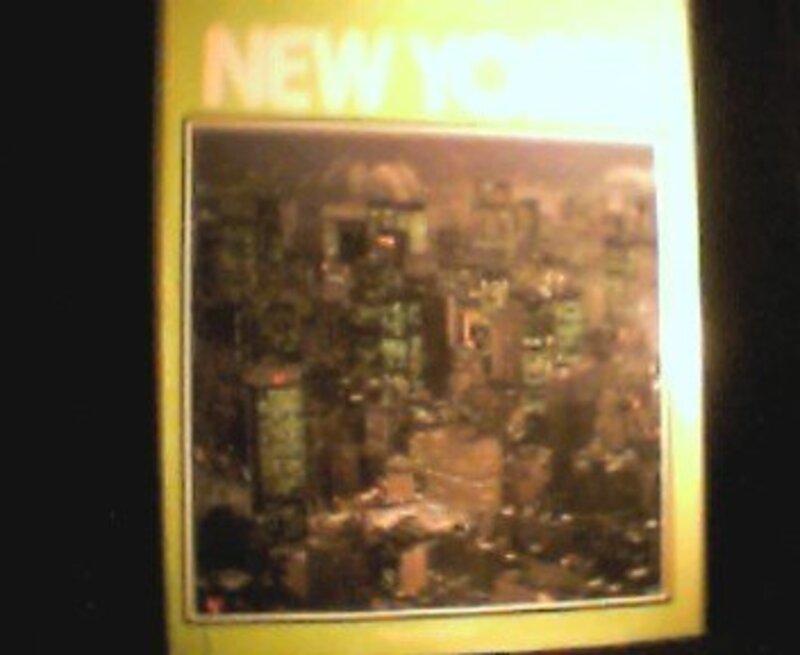 Book cover for "New York" by Anthony Burgess