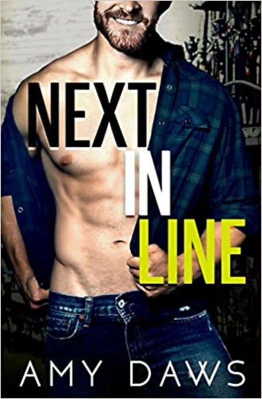 Book cover for "Next In Line" by Amy Daws