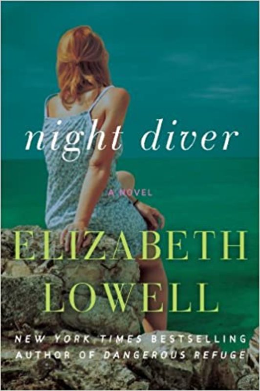 Elizabeth Lowell book cover