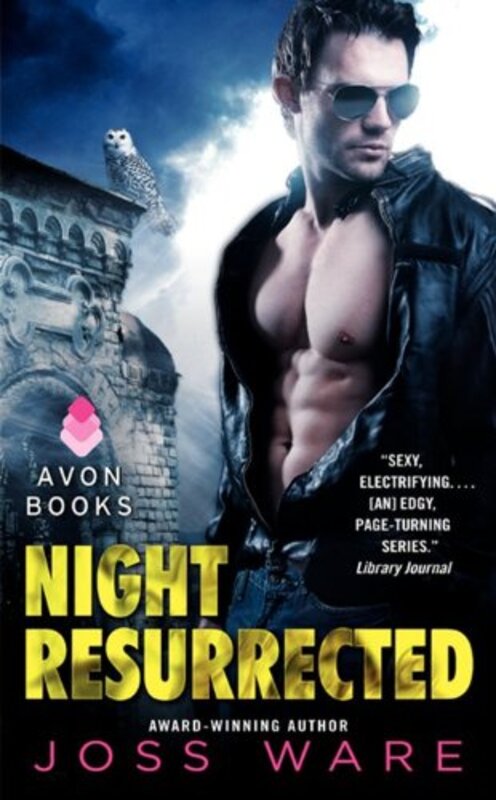 Book cover for "Night Resurrected" by Colleen CM Gleason