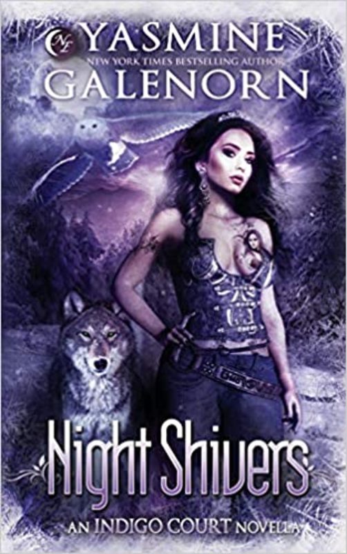 Indigo Court book cover