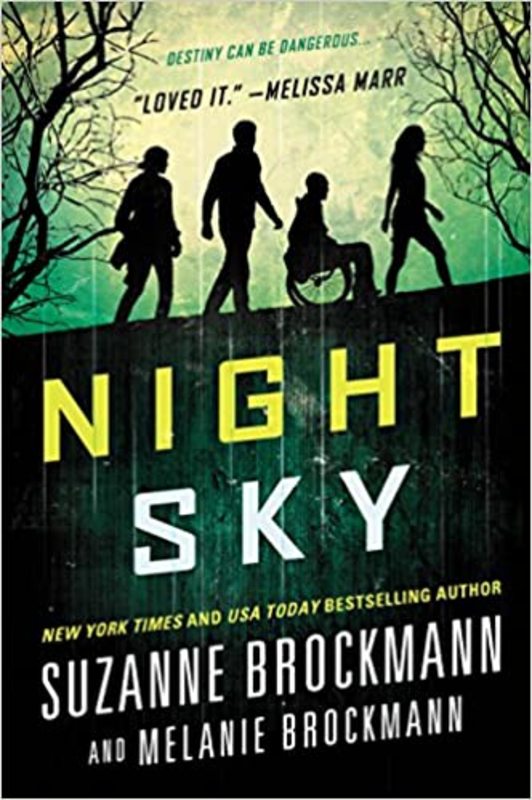 Book cover for "Night Sky" by Suzanne Brockmann