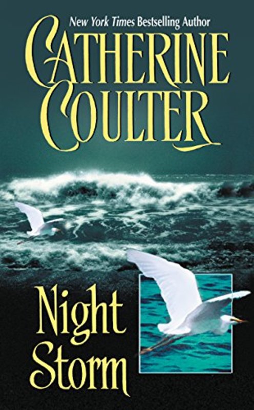 Book cover for "Night Storm" by Catherine Coulter