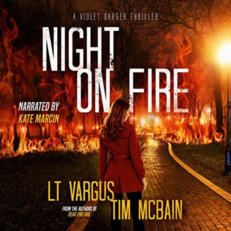 Book cover for "Night on Fire" by LT Vargus